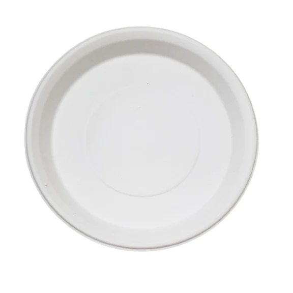 12 Round Meal Plates (Large)