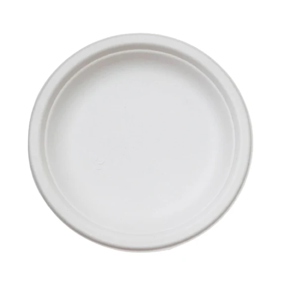 7 Disposable Round Plates (Small)