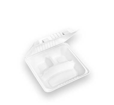 9x9-3-compartment-Hinged-Container-12