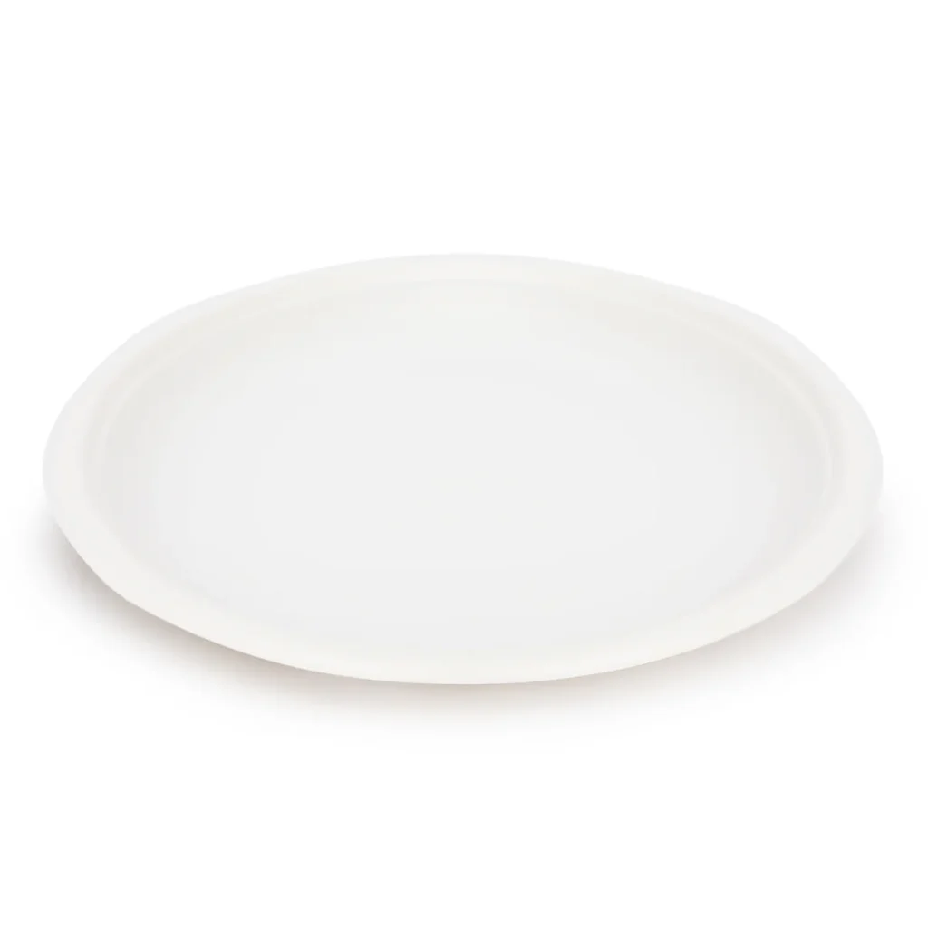 9 Disposable Round Plates (Regular)​